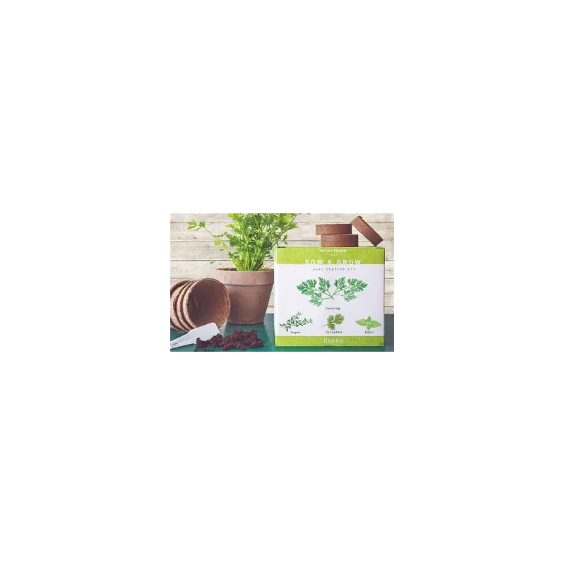 kit démarrage basilic urbain