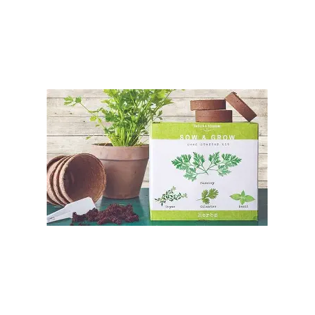 kit démarrage basilic urbain