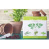 kit démarrage basilic urbain