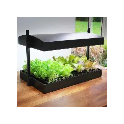 potager hydroponique interieur
