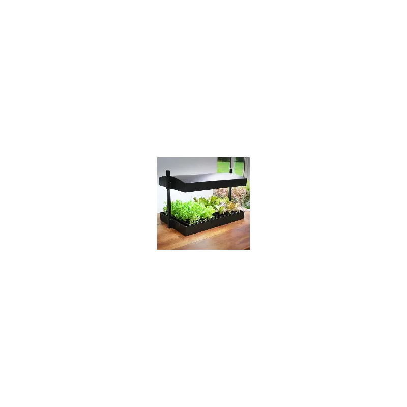 potager hydroponique interieur