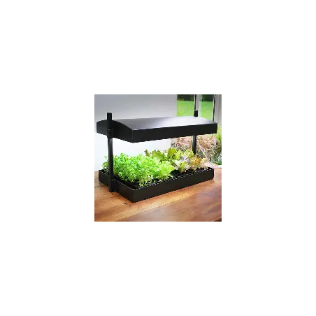 potager hydroponique interieur