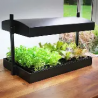 potager hydroponique interieur